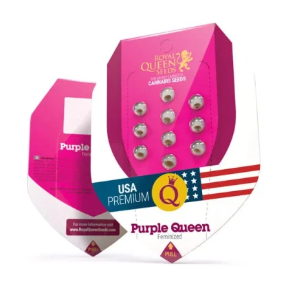 Purple Queen <br> (Royal Queen Seeds) - Image 7